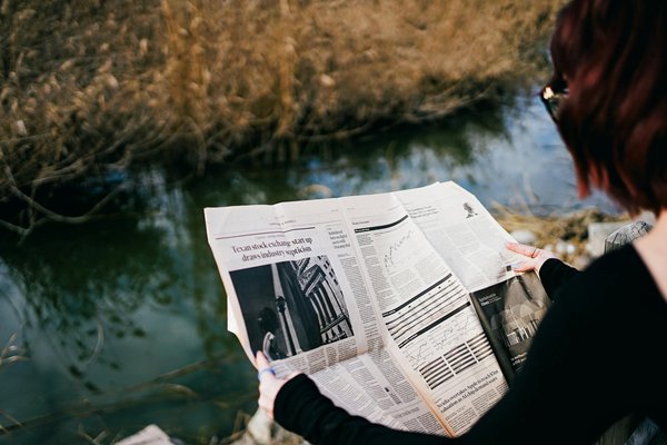 Comprehensive blueprint for crafting the ideal saltwater clownfish aquarium setup